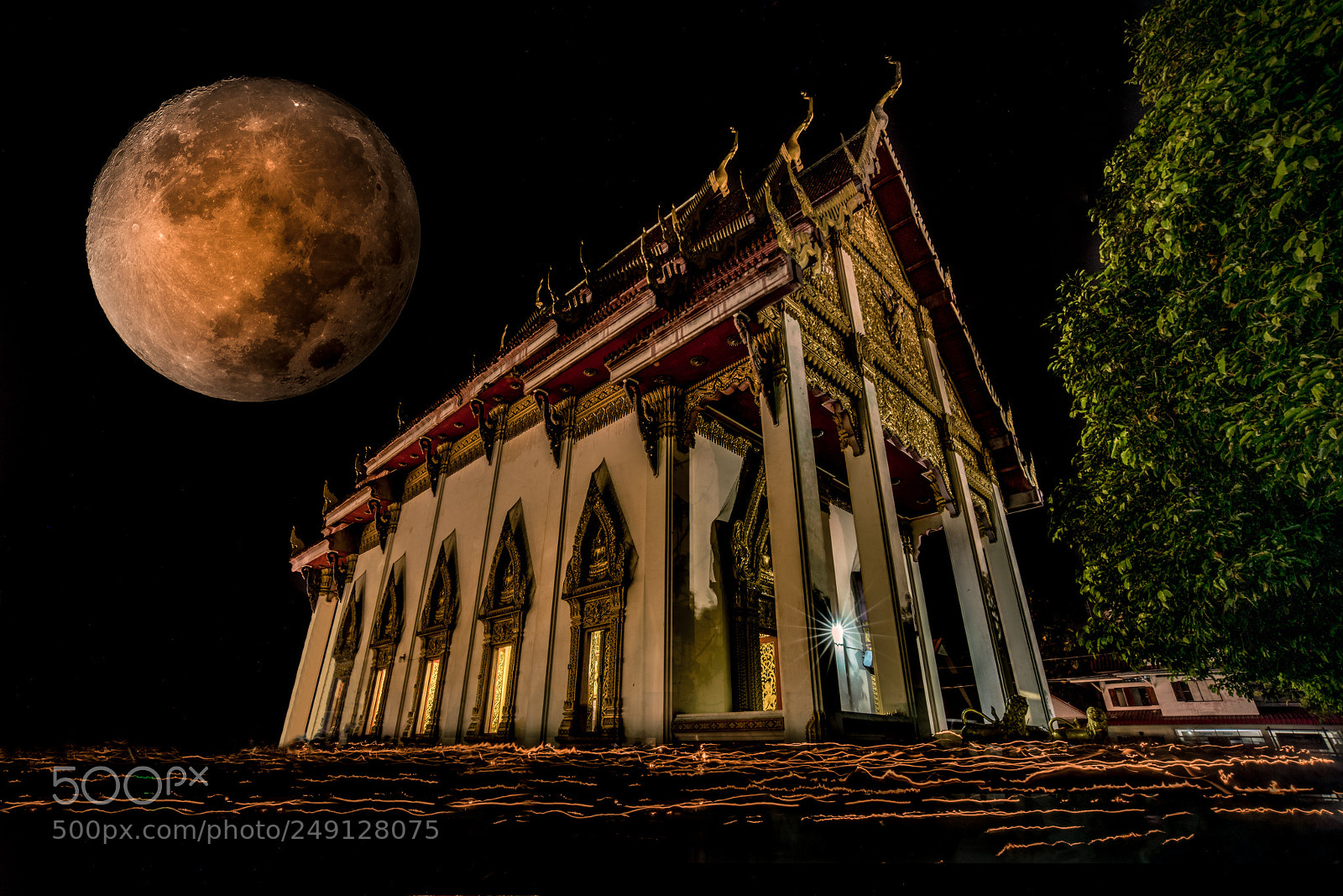 Sony a7R III sample photo. Edit edit edit edit photography