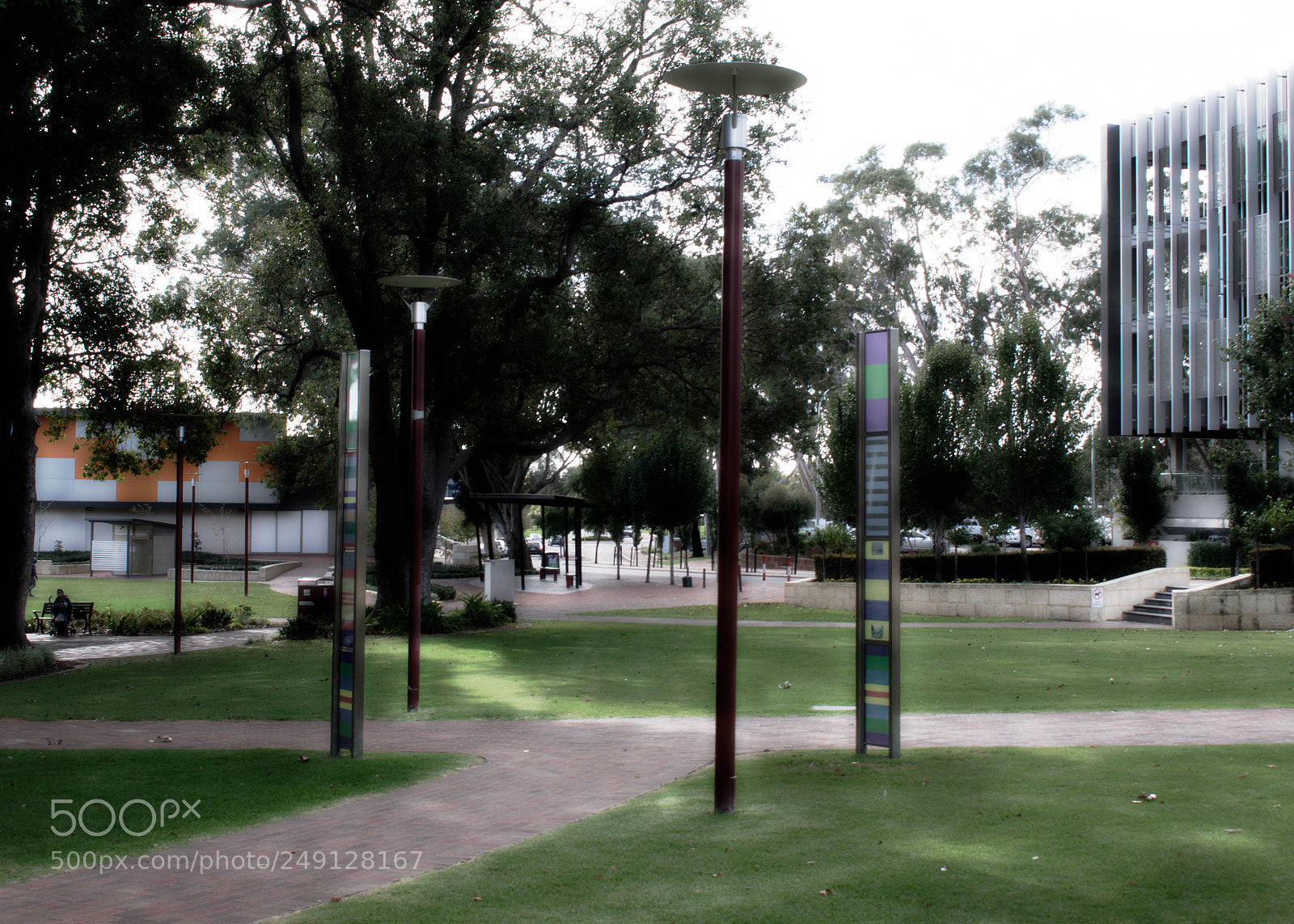 Nikon D3400 sample photo. Outside at the park photography