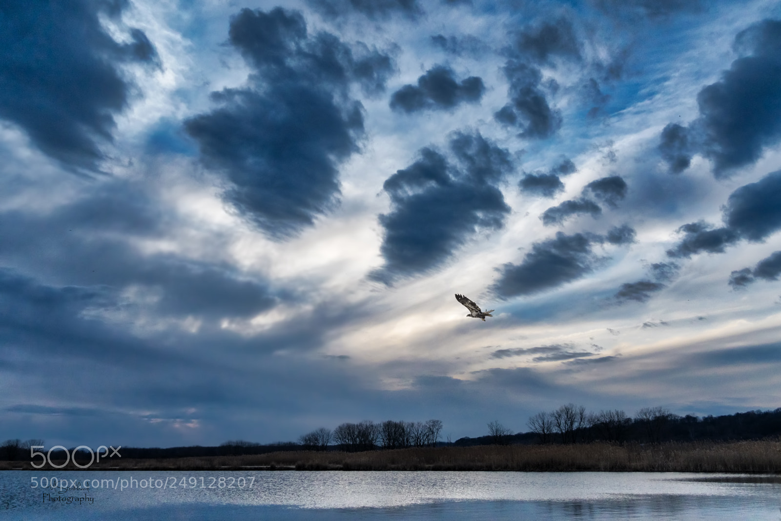 Sony a7R III sample photo. Last5 flight home photography