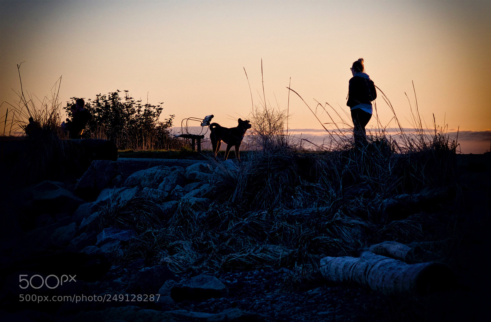 Nikon D800 sample photo. Walking into sundown photography