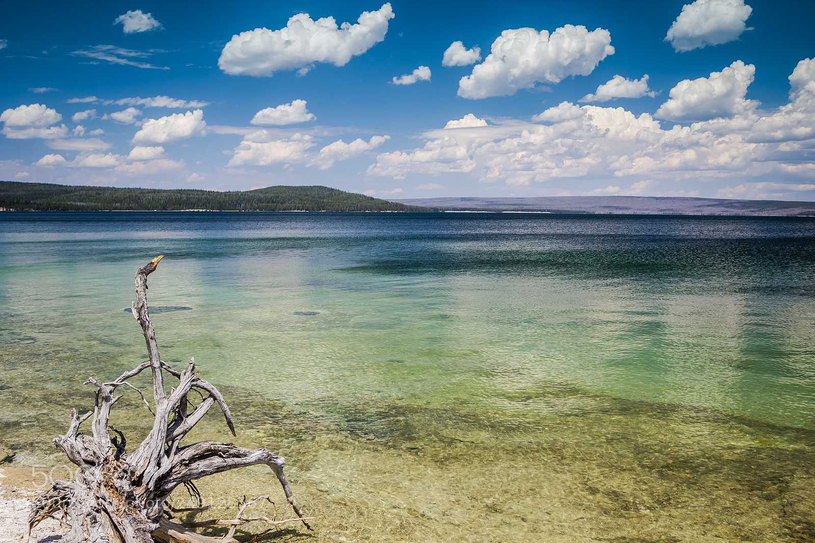 Canon EOS 600D (Rebel EOS T3i / EOS Kiss X5) sample photo. Yellowstone lake photography
