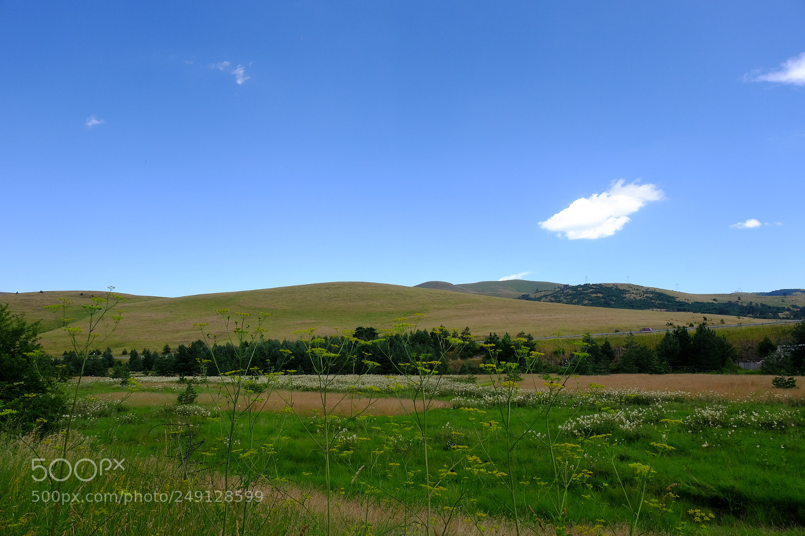 Fujifilm X-T1 sample photo. Zlatibor photography
