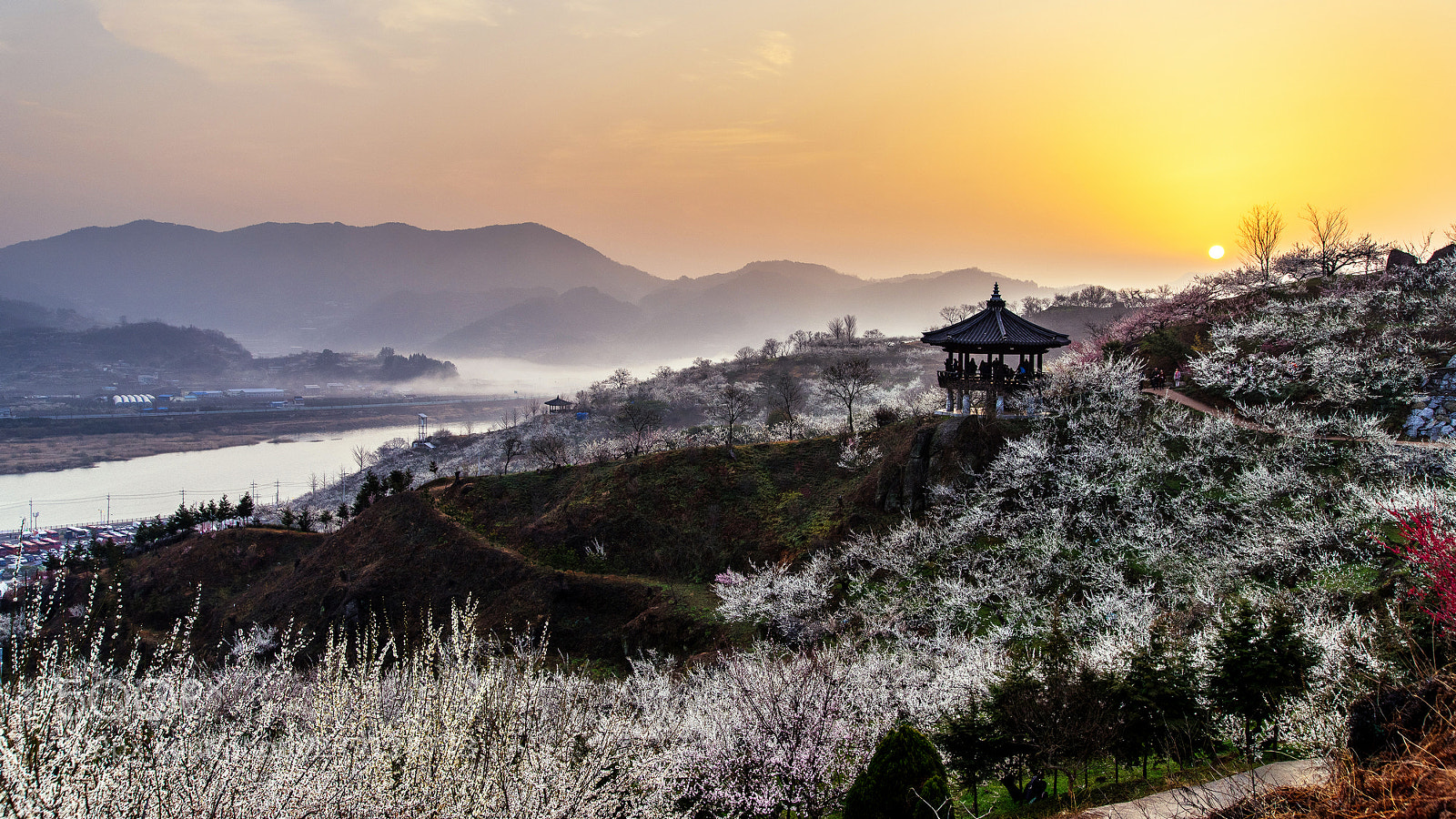 Nikon D810 sample photo. Plum village (매화마을) photography