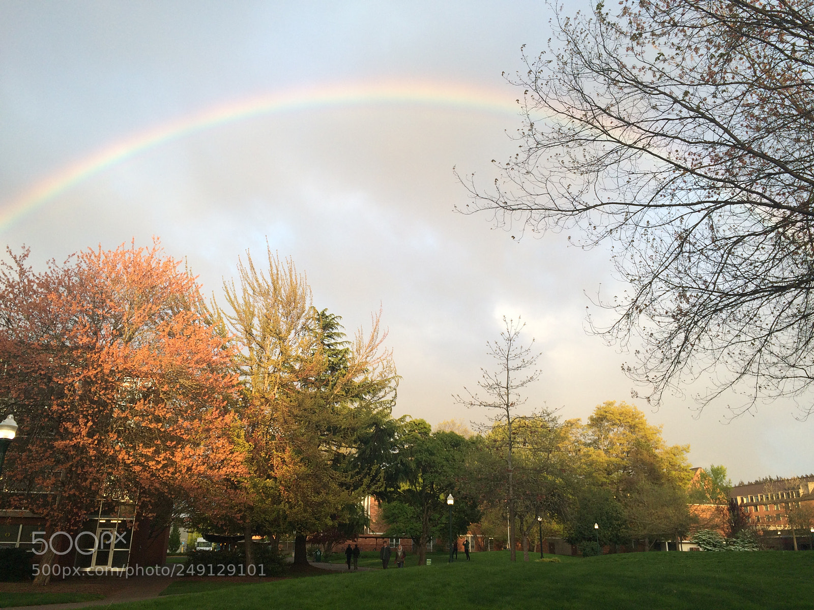 Apple iPhone 5s sample photo. Img photography