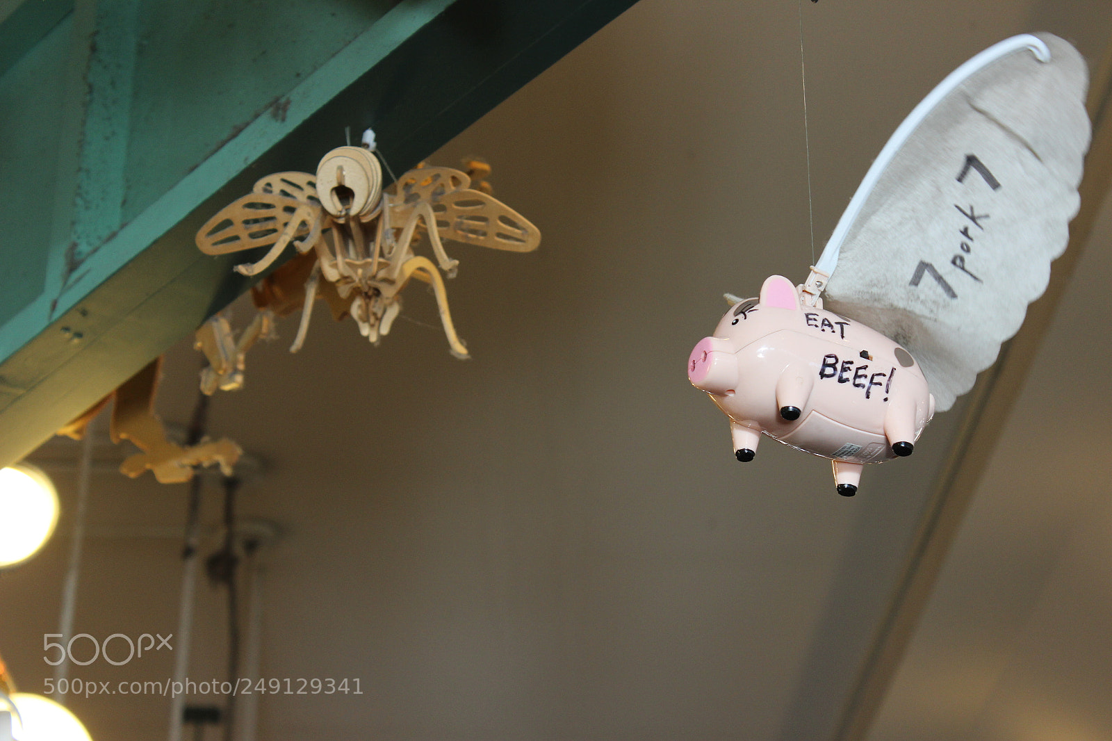 Canon EOS 600D (Rebel EOS T3i / EOS Kiss X5) sample photo. Eat beef! photography