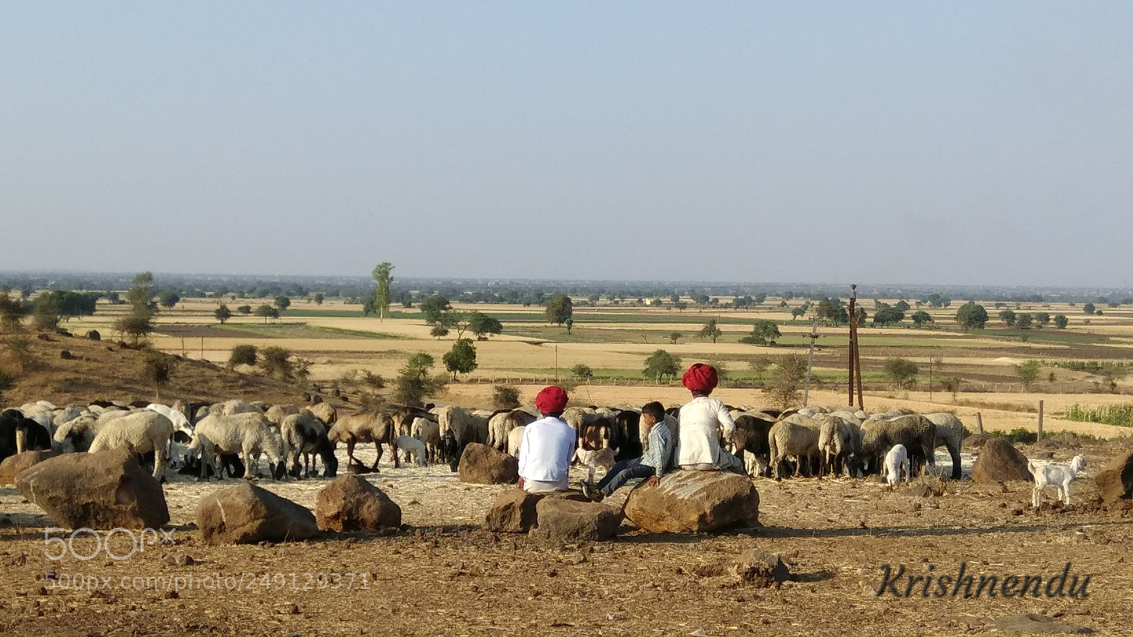 Xiaomi Redmi Note 4 sample photo. The pasture photography