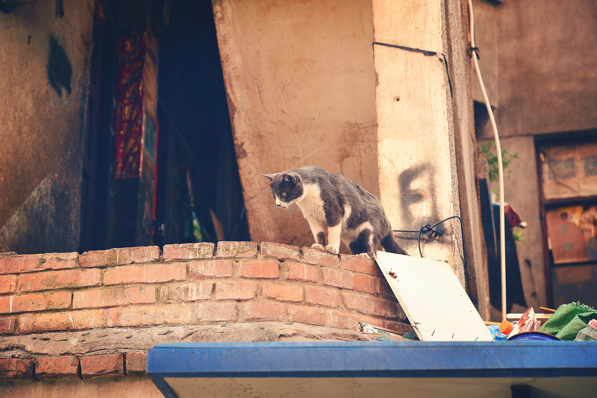 Nikon D610 sample photo. Here photography