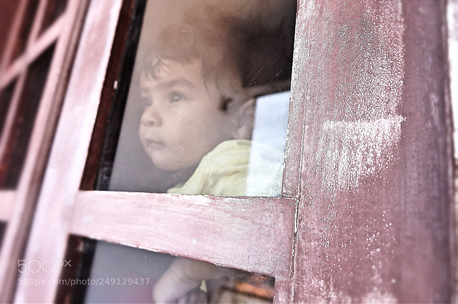Sony Alpha NEX-F3 sample photo. The watcher photography
