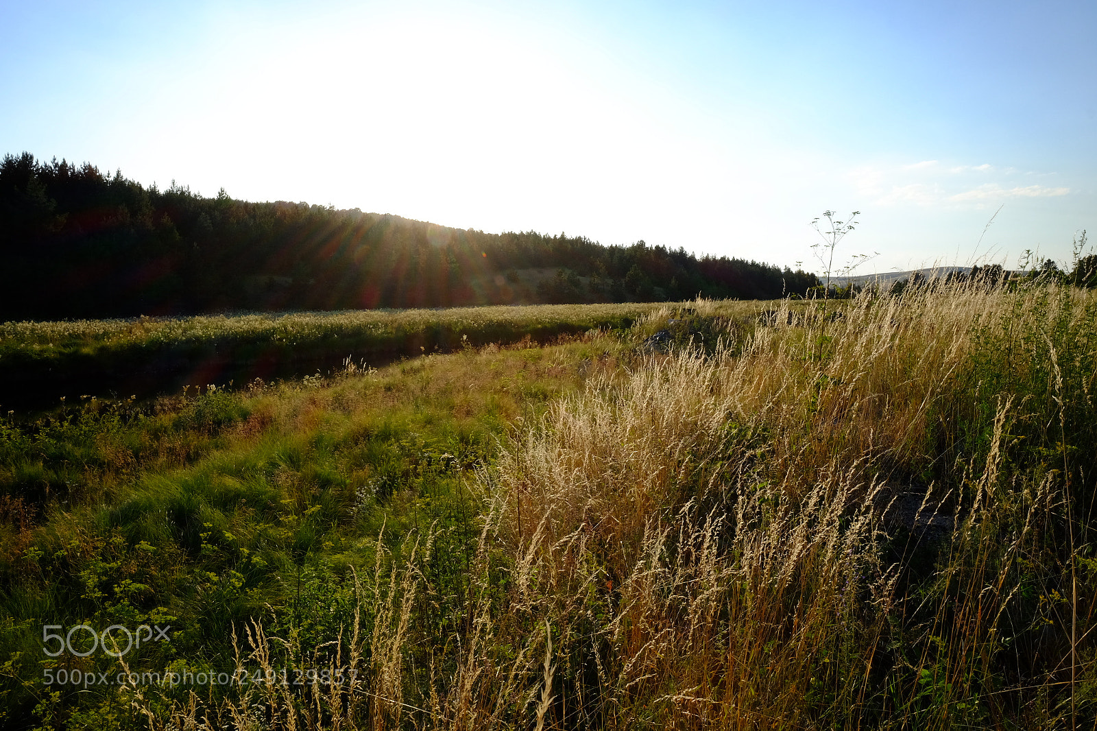 Fujifilm X-T1 sample photo. Untitled photography