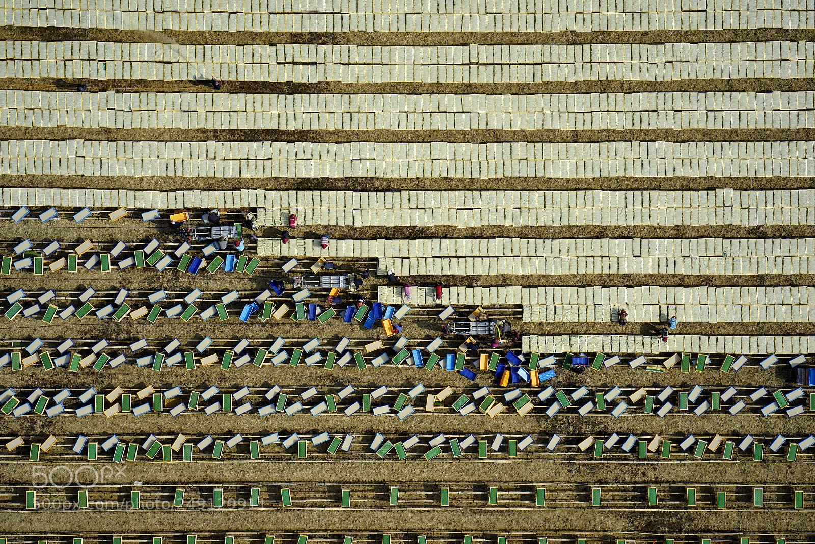 Sony a7R sample photo. Korea photography