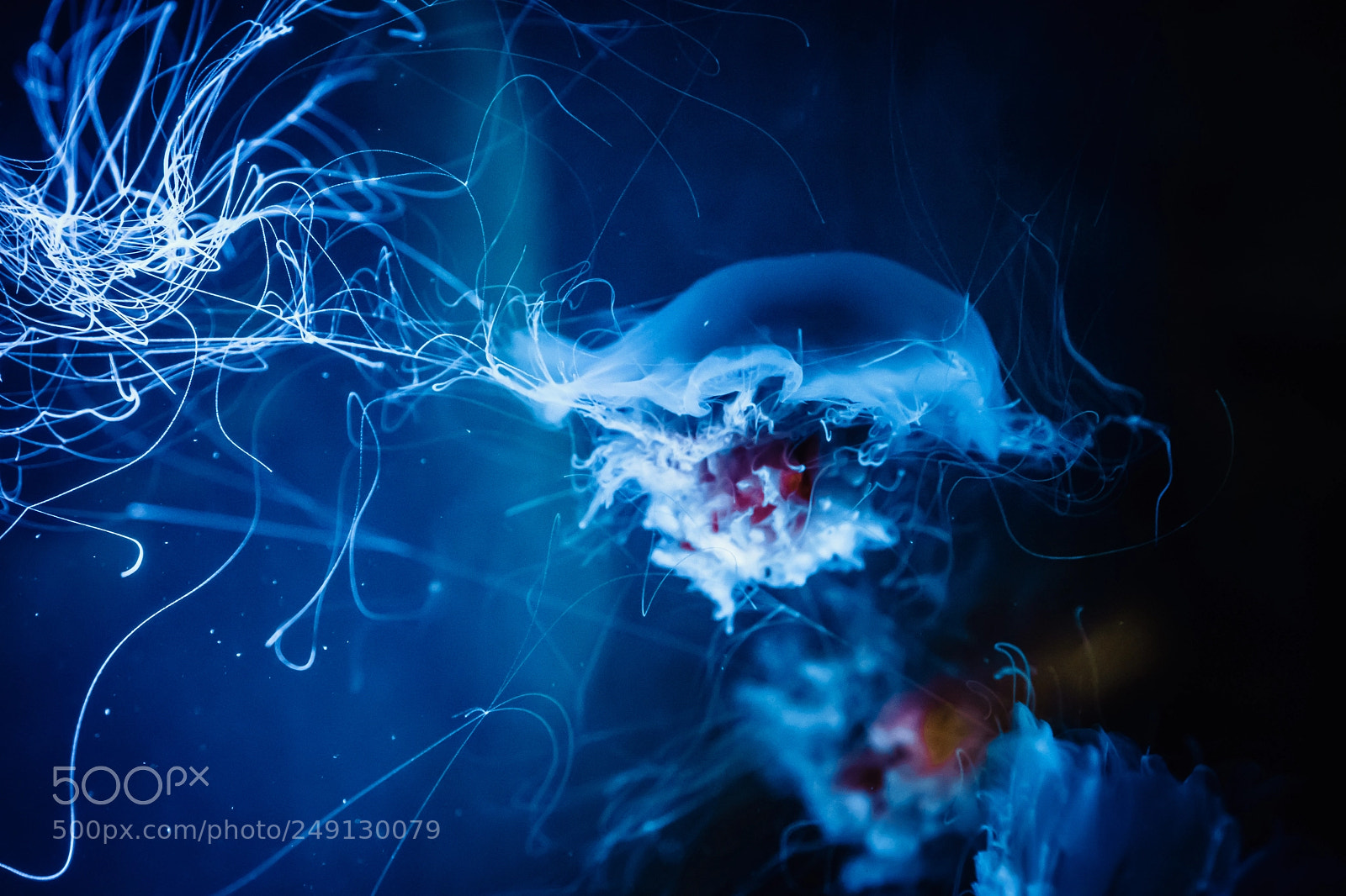 Sony a7 sample photo. Floating cake photography