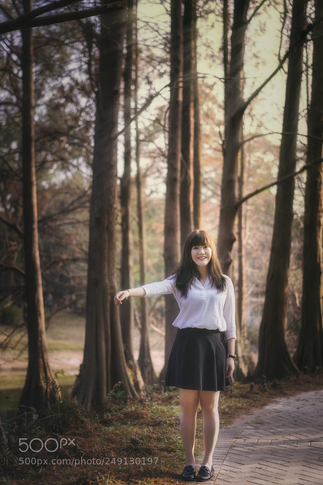 Sony a7 II sample photo. Woodland photography