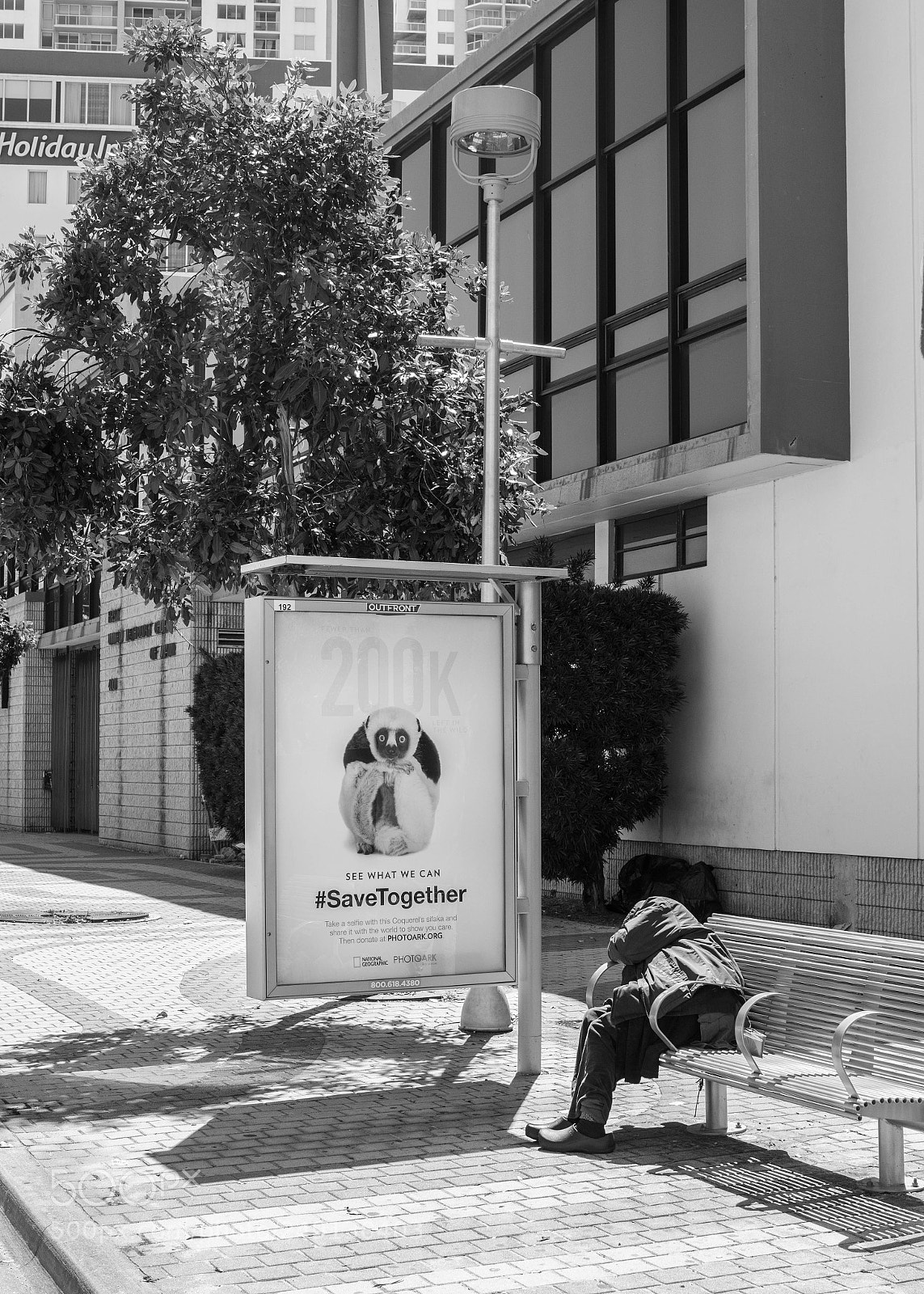 Canon EOS-1D X Mark II sample photo. Untitled photography