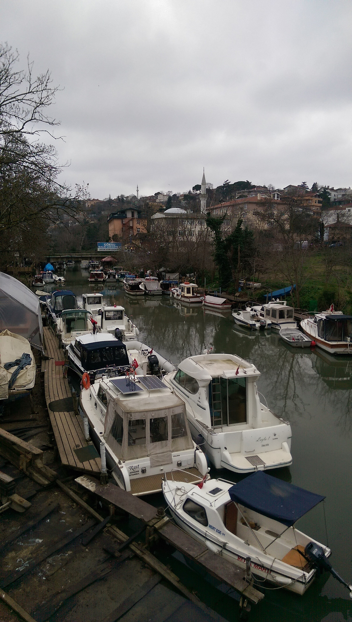 HTC ONE M8 sample photo