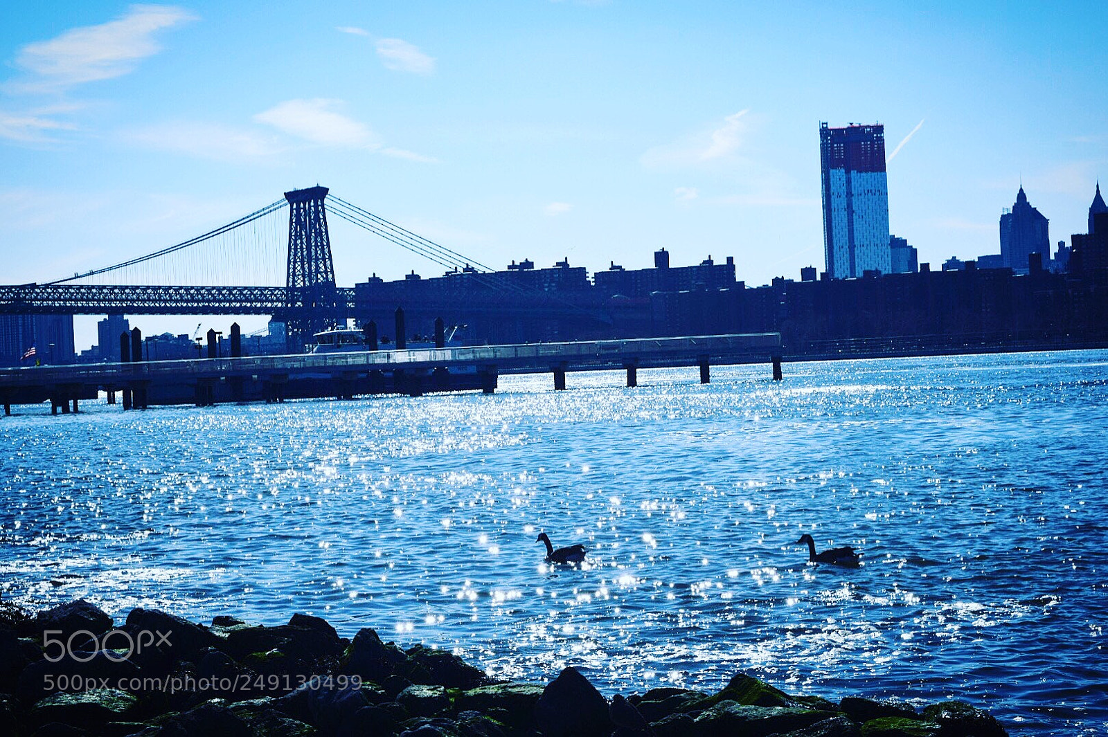Nikon D5300 sample photo. Untitled photography