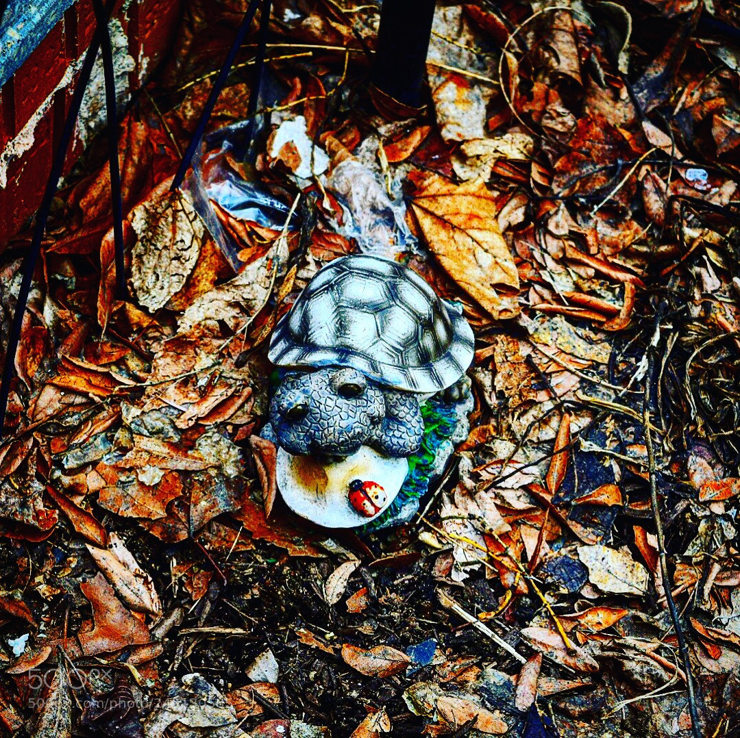 Nikon D5300 sample photo. Untitled photography