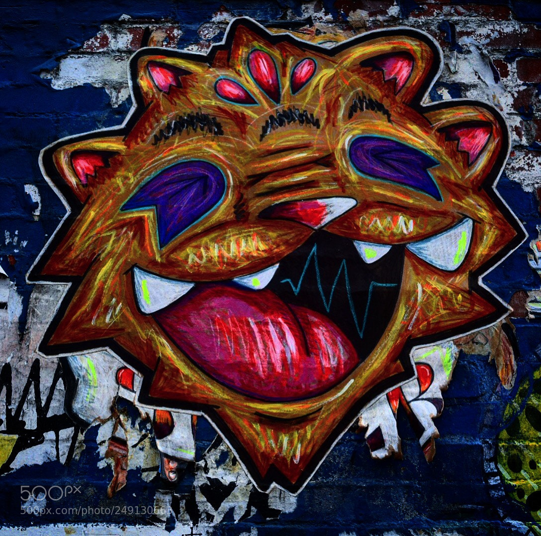 Nikon D5300 sample photo. Untitled photography