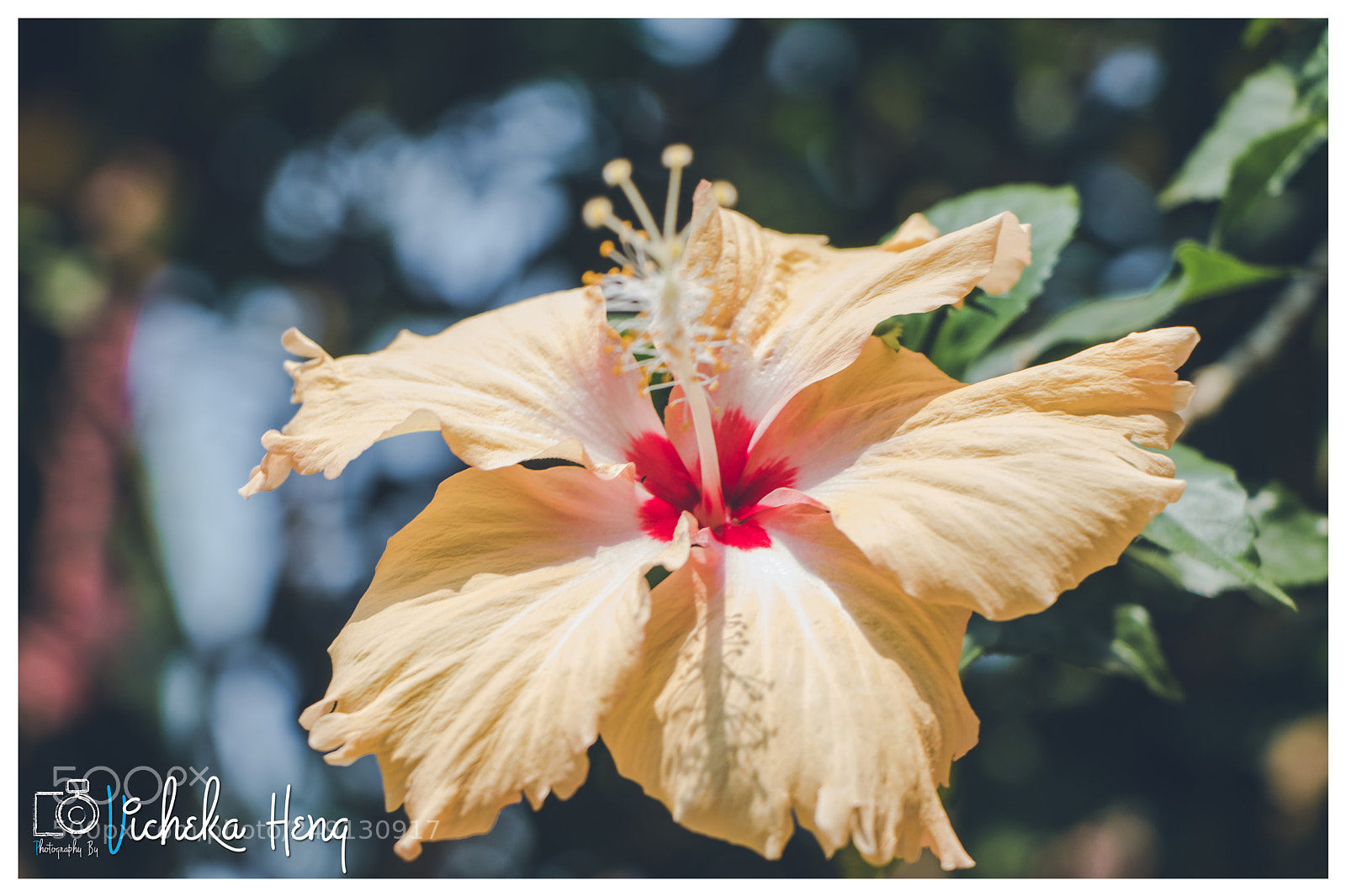 Canon EOS 80D sample photo. Img_7452 .jpg photography