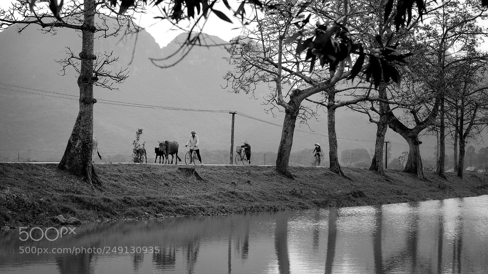 Fujifilm X-T20 sample photo. Untitled photography
