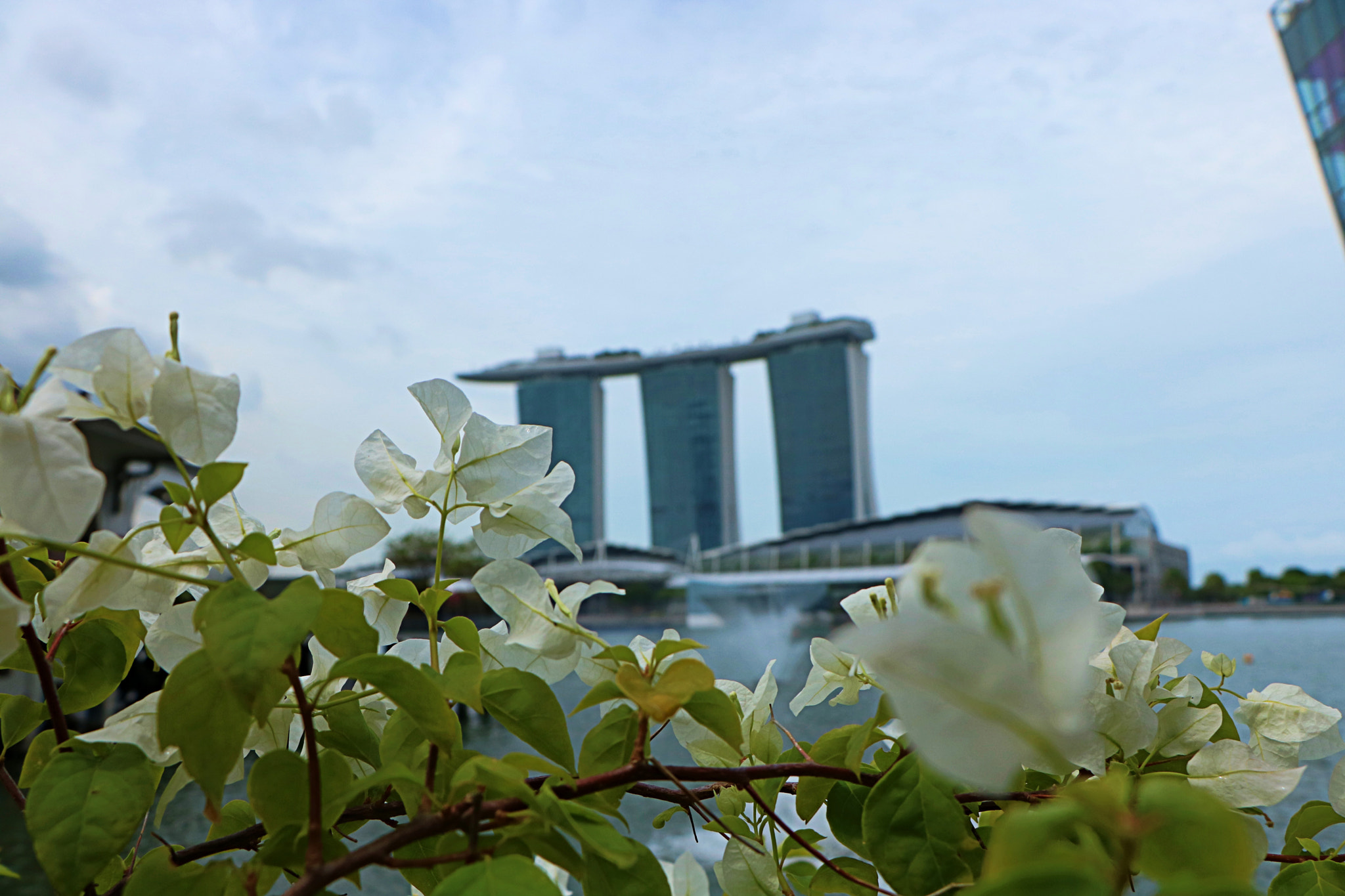 Canon EOS 760D (EOS Rebel T6s / EOS 8000D) sample photo. 2017-07-11 01.07.06.jpg photography