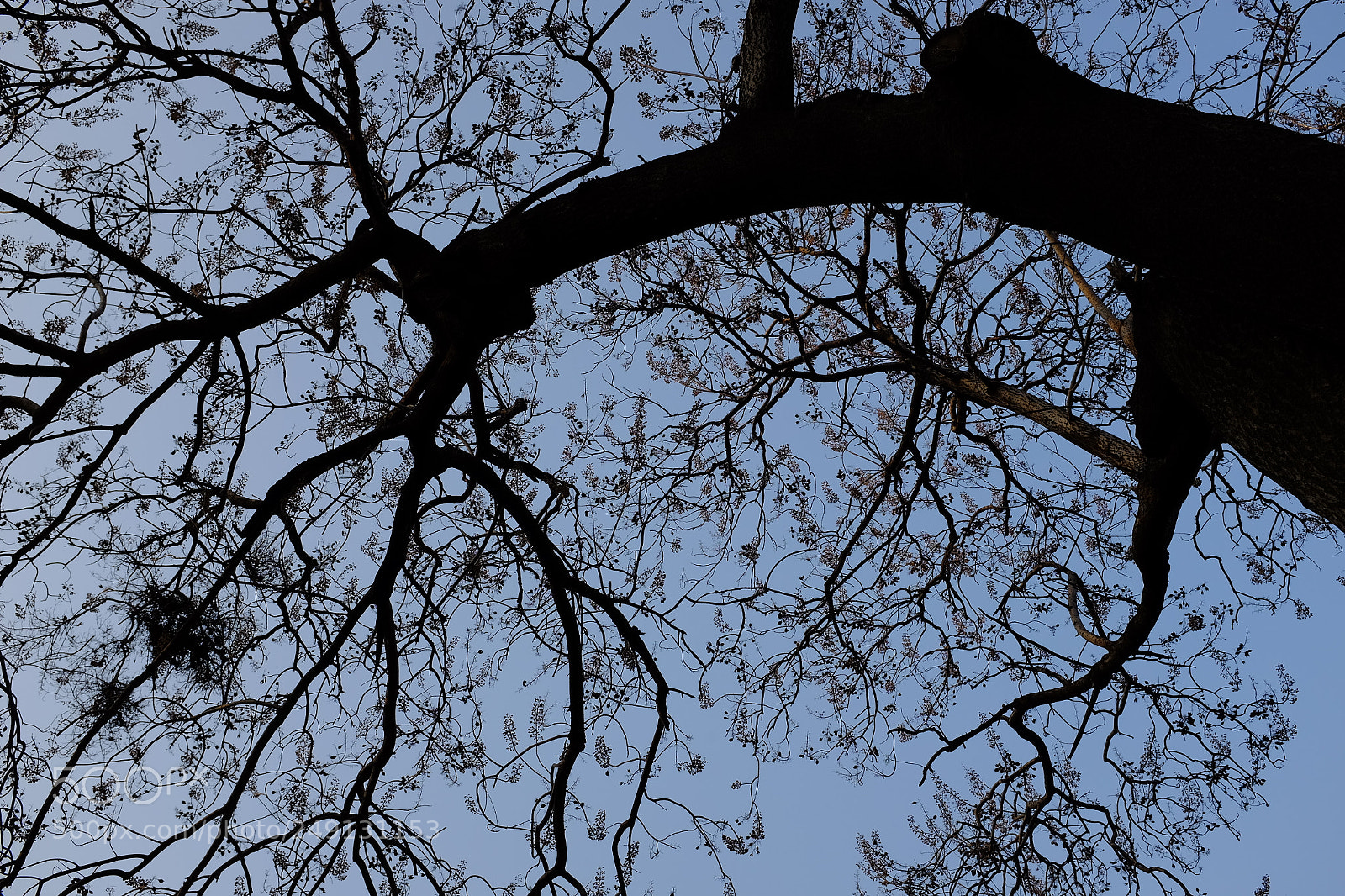 Fujifilm X100S sample photo. Untitled photography