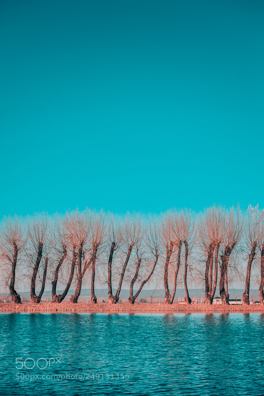 Nikon D600 sample photo. Teal & blue photography
