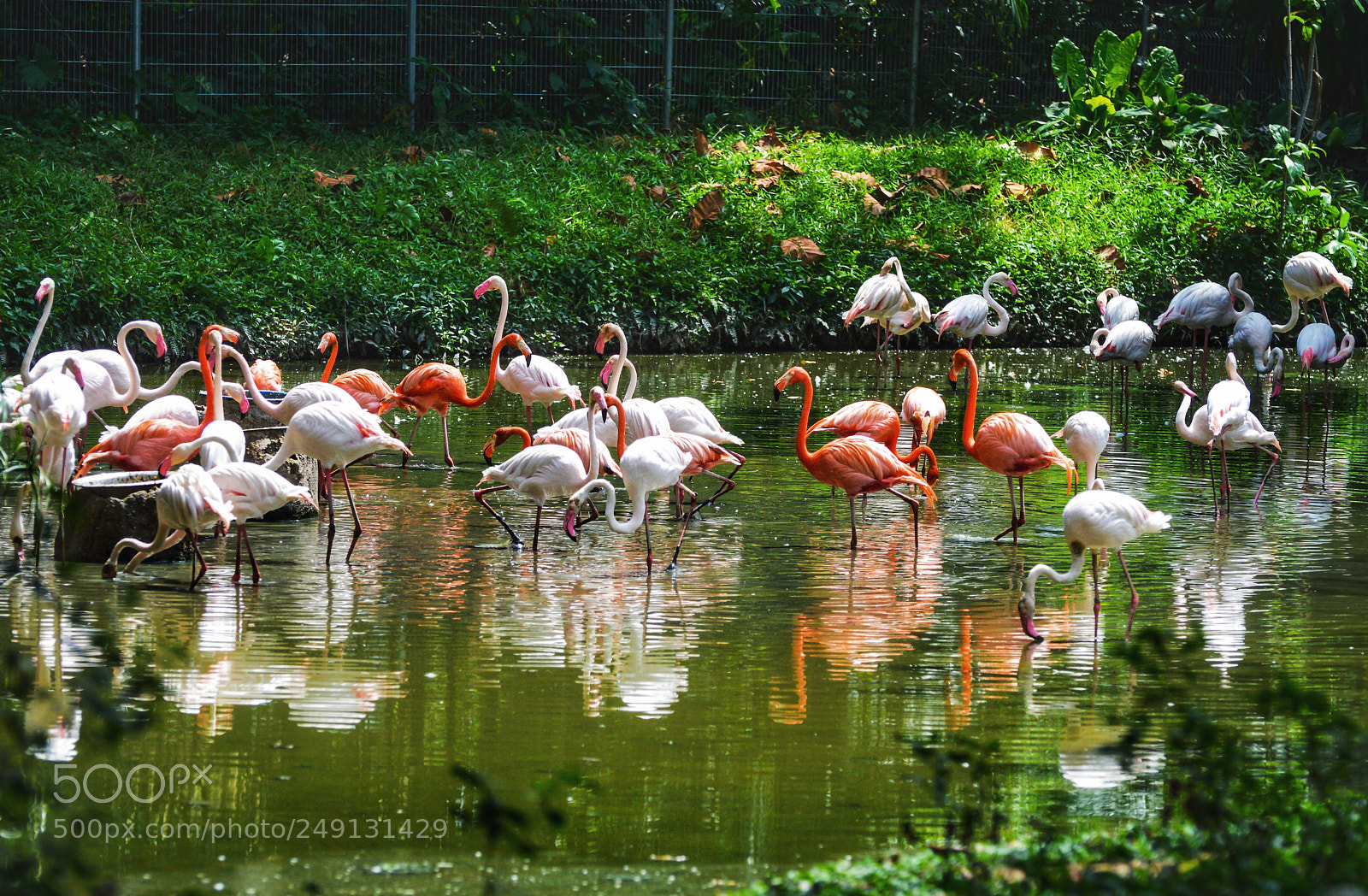 Nikon D3200 sample photo. Gathering photography