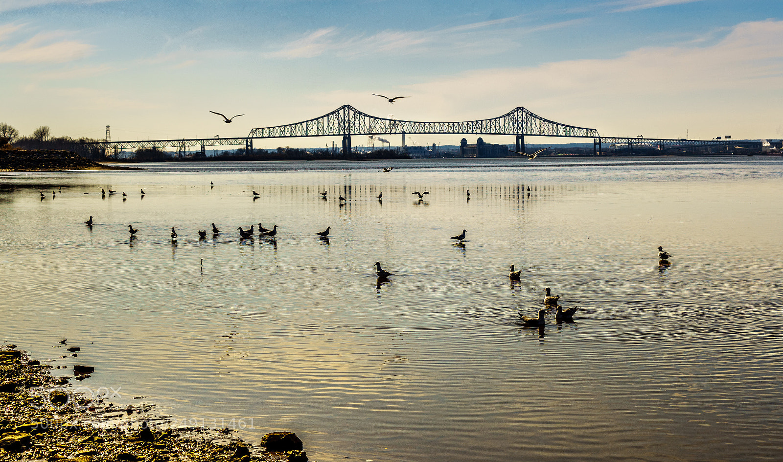 Sony a7 II sample photo. Peace photography