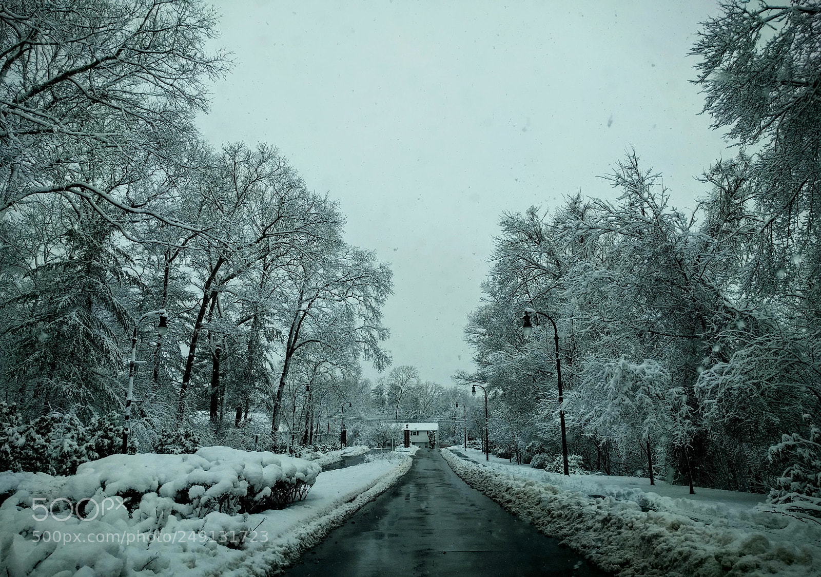 LG Nexus 5X sample photo. Morning drive after storm photography
