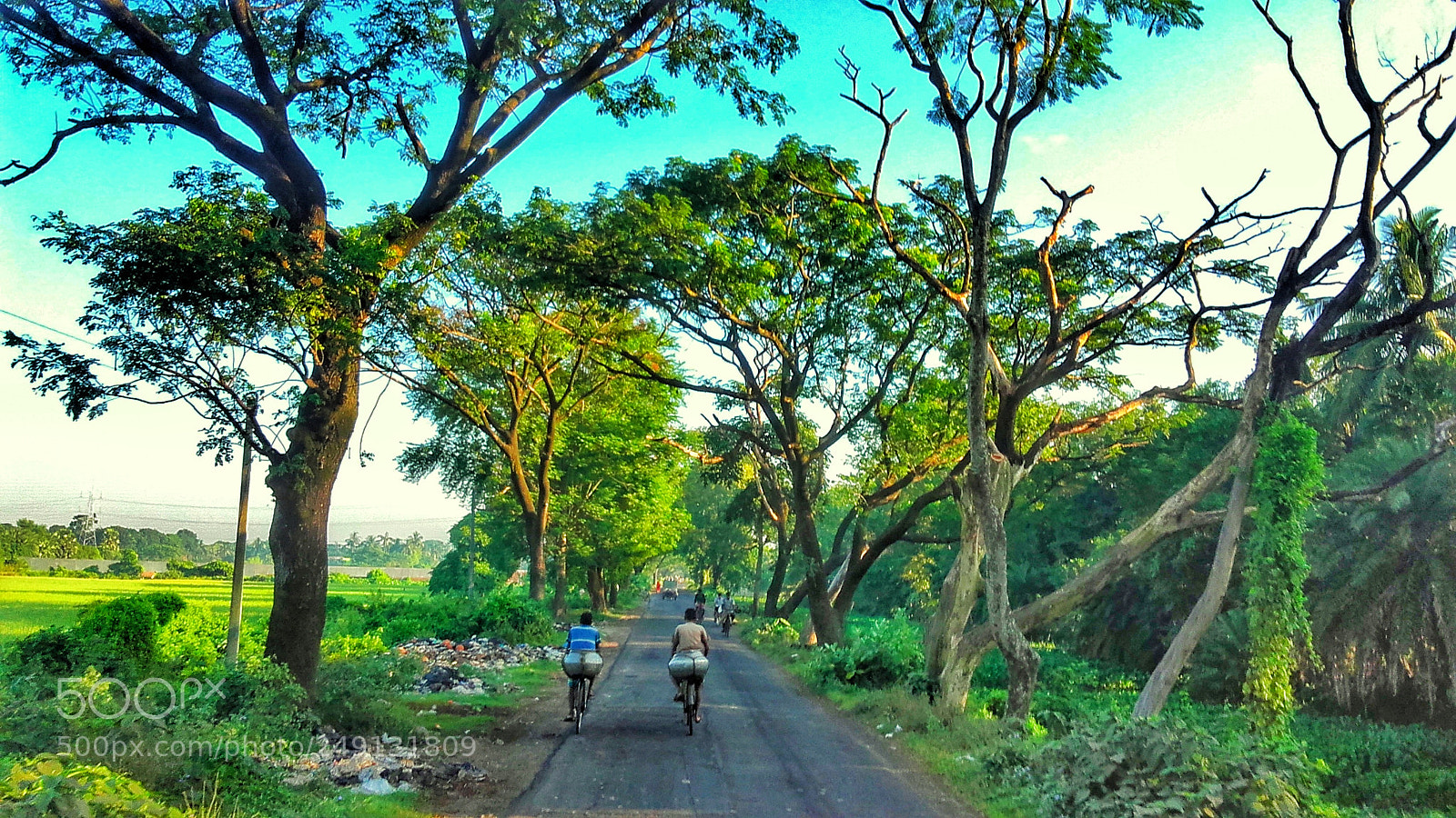 Samsung Galaxy Grand Prime sample photo. Go green photography