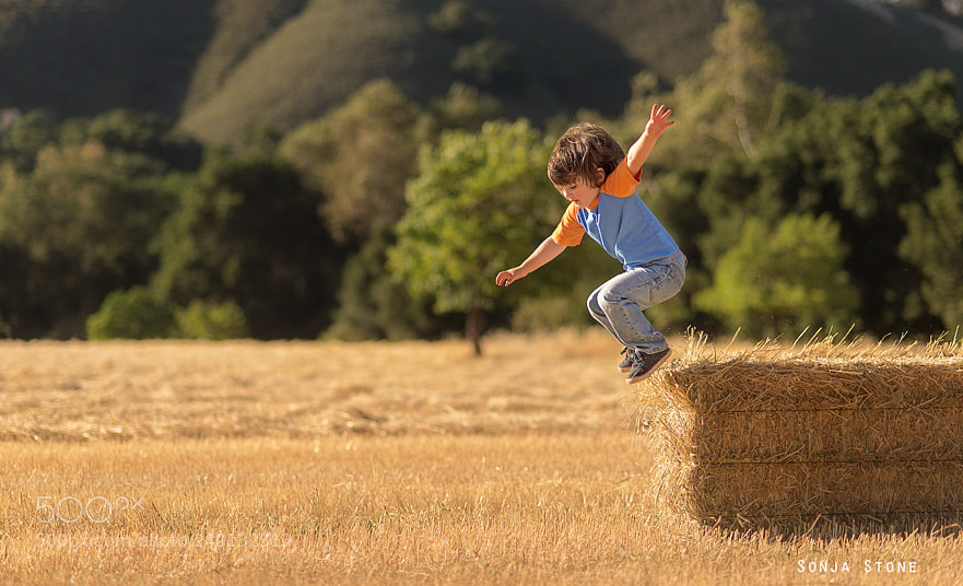 Nikon D600 sample photo. Happy photography