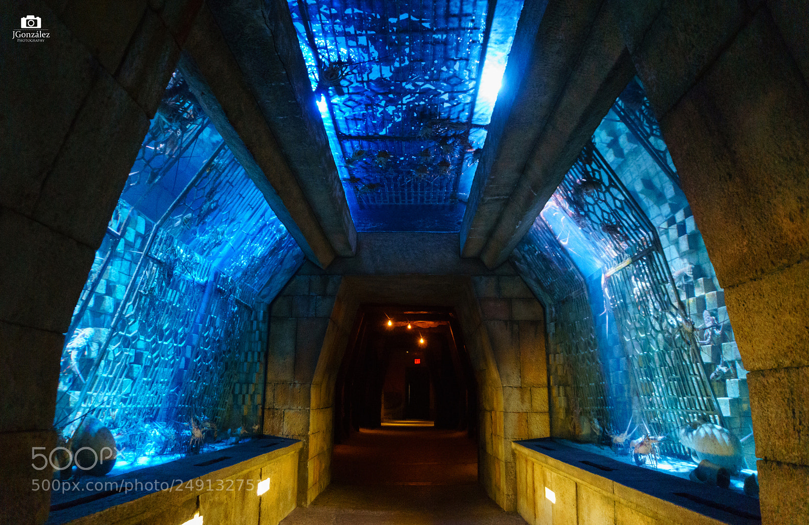 Sony a6000 sample photo. Atlantis 3 photography
