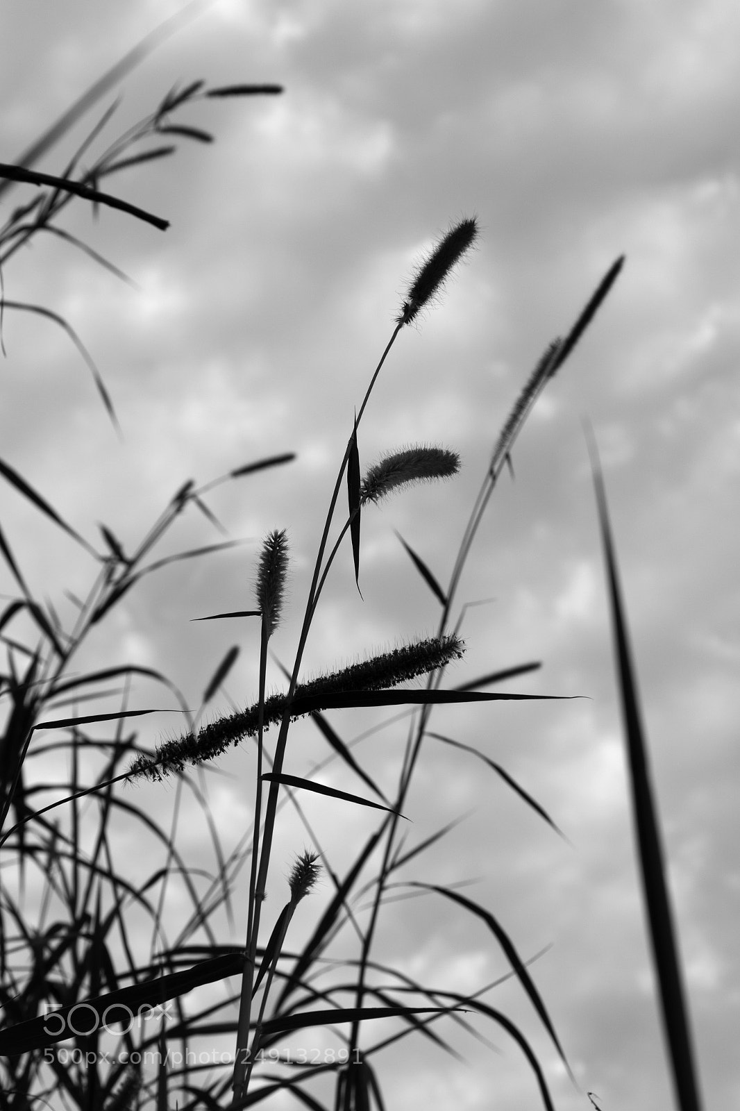 Canon EOS 7D Mark II sample photo. Untitled photography