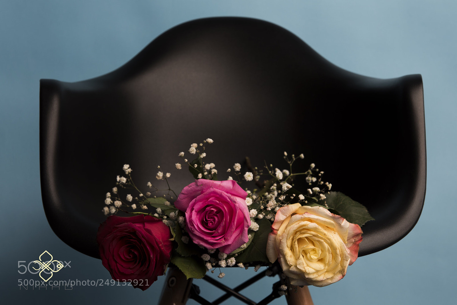 Nikon D810 sample photo. Untitled photography