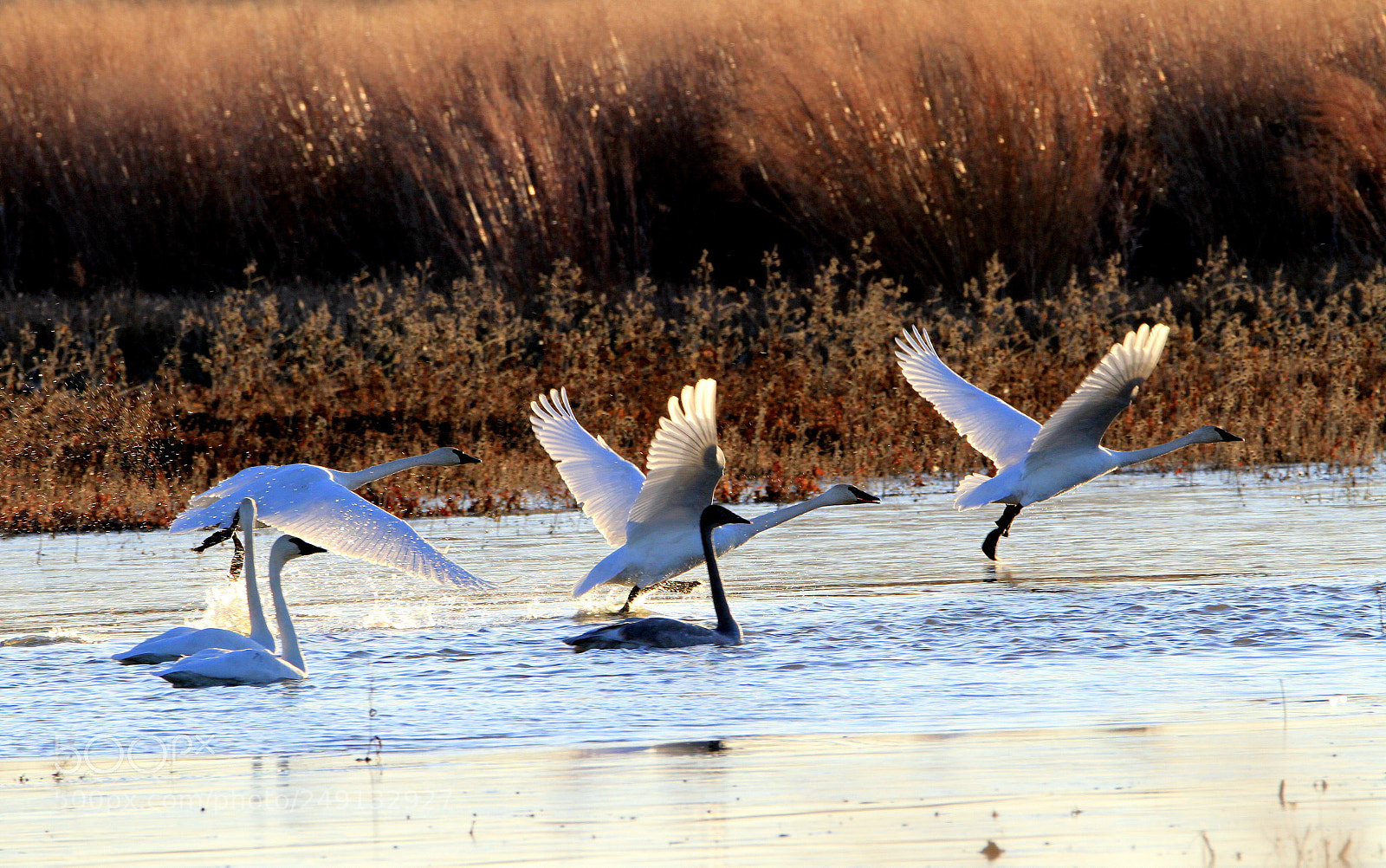 Canon EOS 7D sample photo. Untitled photography