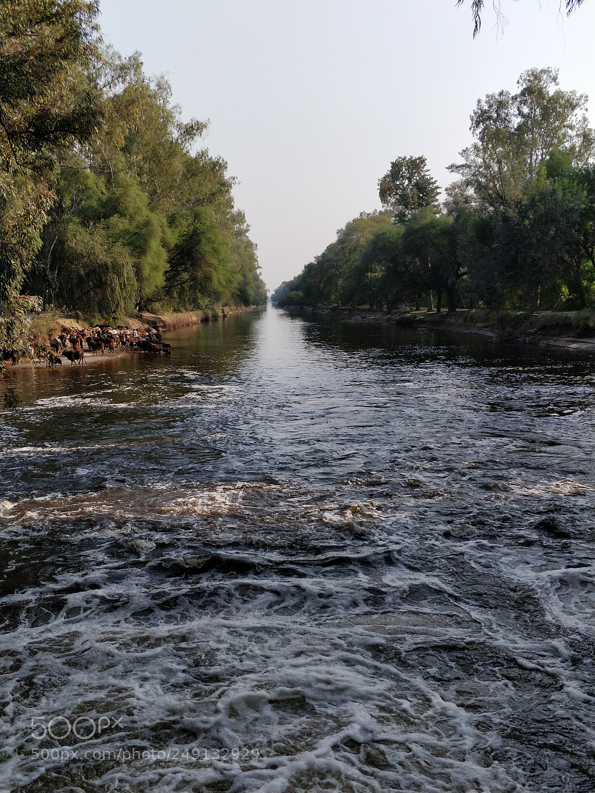 OnePlus 5 sample photo. In the middle of photography