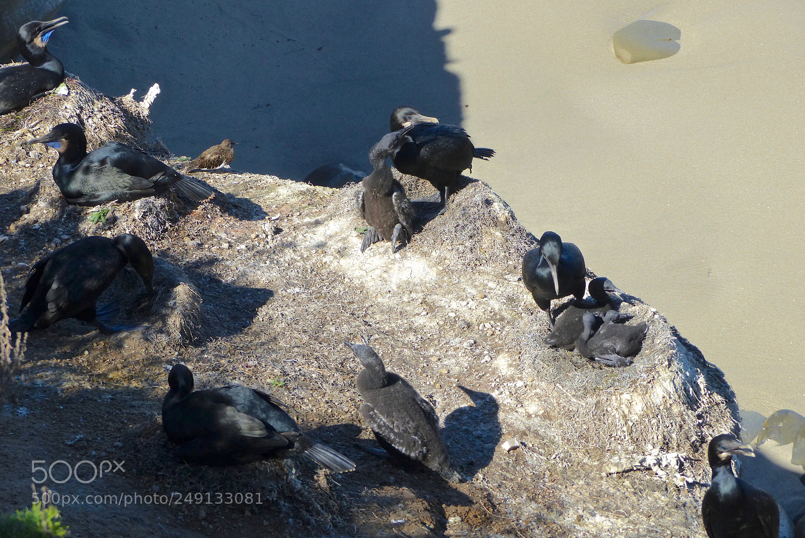 Panasonic Lumix DMC-FZ200 sample photo. Stranded photography