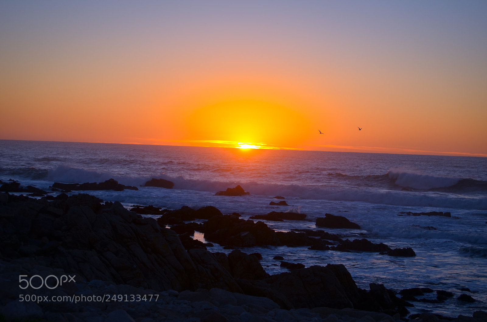 Nikon D5100 sample photo. Amazing sunset in pacific photography