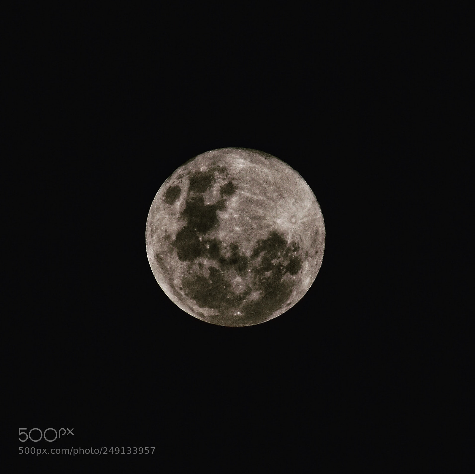 Nikon D5600 sample photo. Full moon from my photography