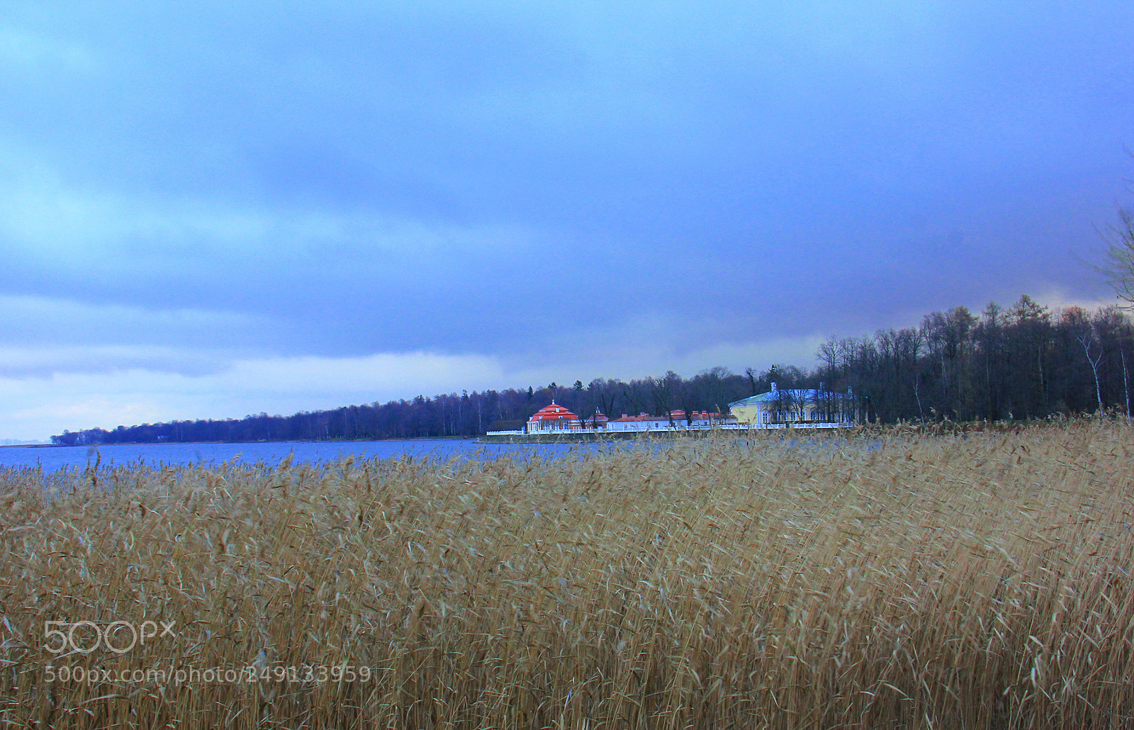 Canon EOS 60D sample photo. Untitled photography