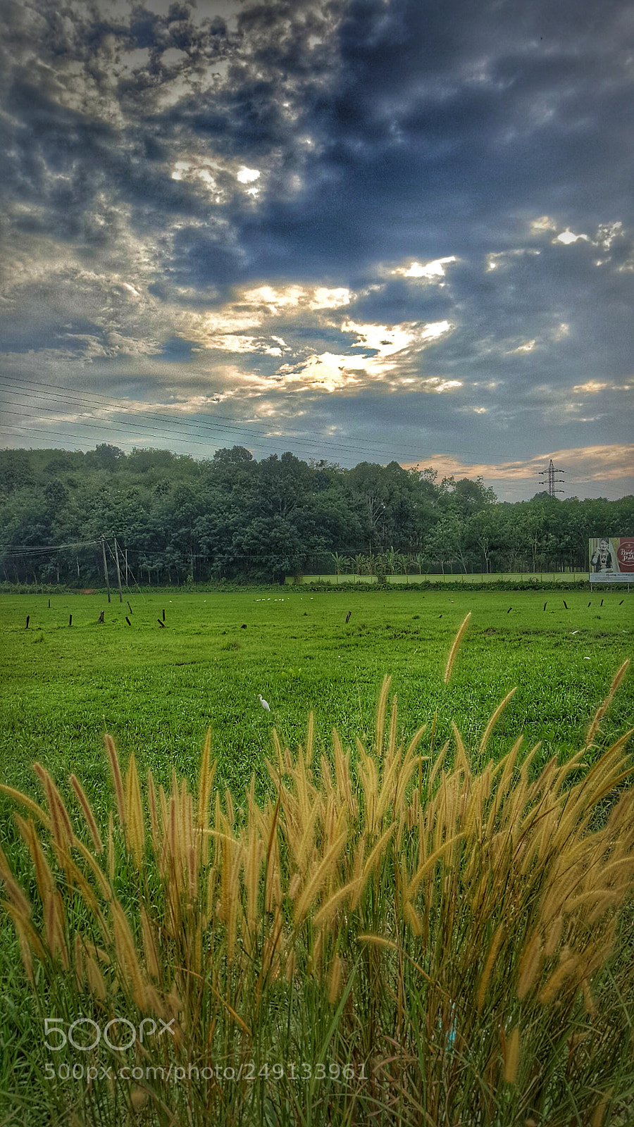 Samsung Galaxy Note5 sample photo. A roadside view photography