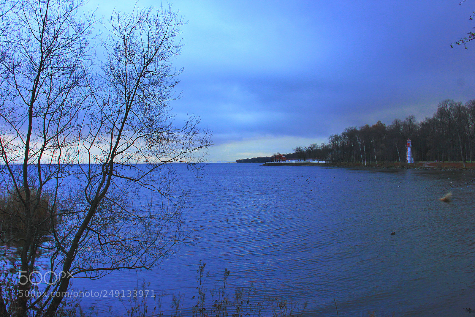 Canon EOS 60D sample photo. Untitled photography