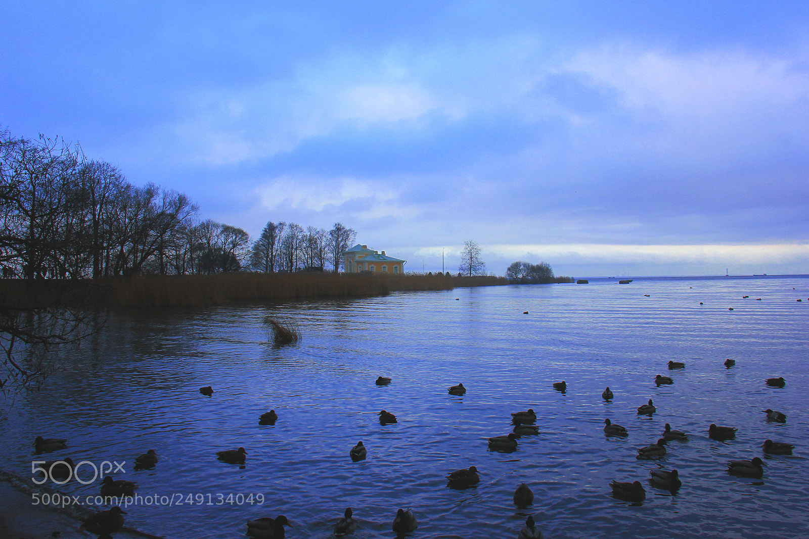 Canon EOS 60D sample photo. Untitled photography