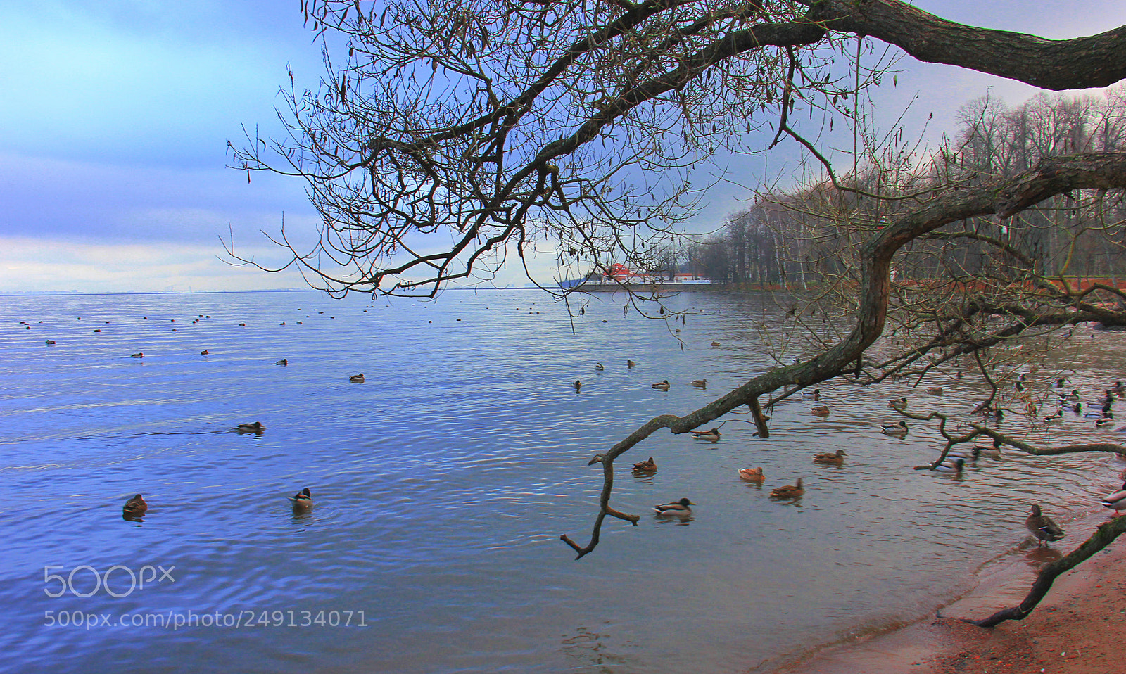 Canon EOS 60D sample photo. Untitled photography