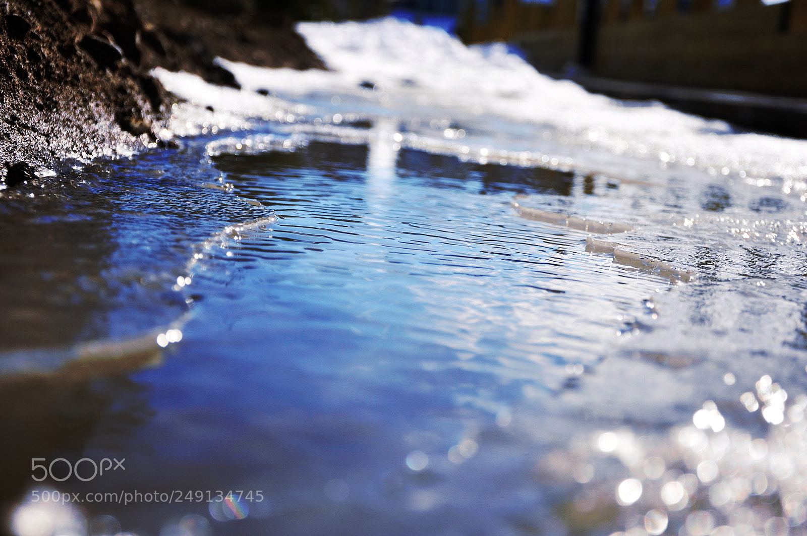 Nikon D90 sample photo. 355.jpg photography