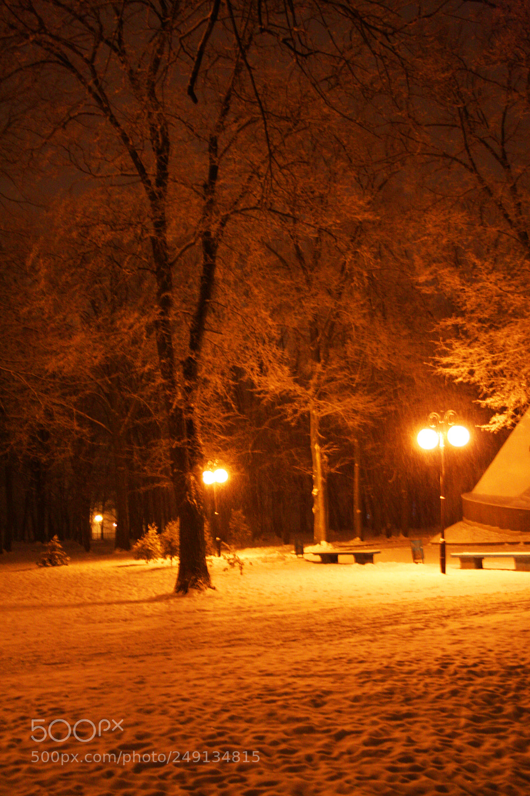 Canon EOS 1000D (EOS Digital Rebel XS / EOS Kiss F) sample photo. Kharkov  park 2 photography