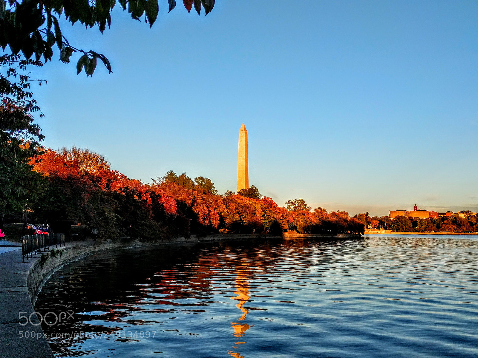 LG Nexus 5X sample photo. Washington d.c. photography