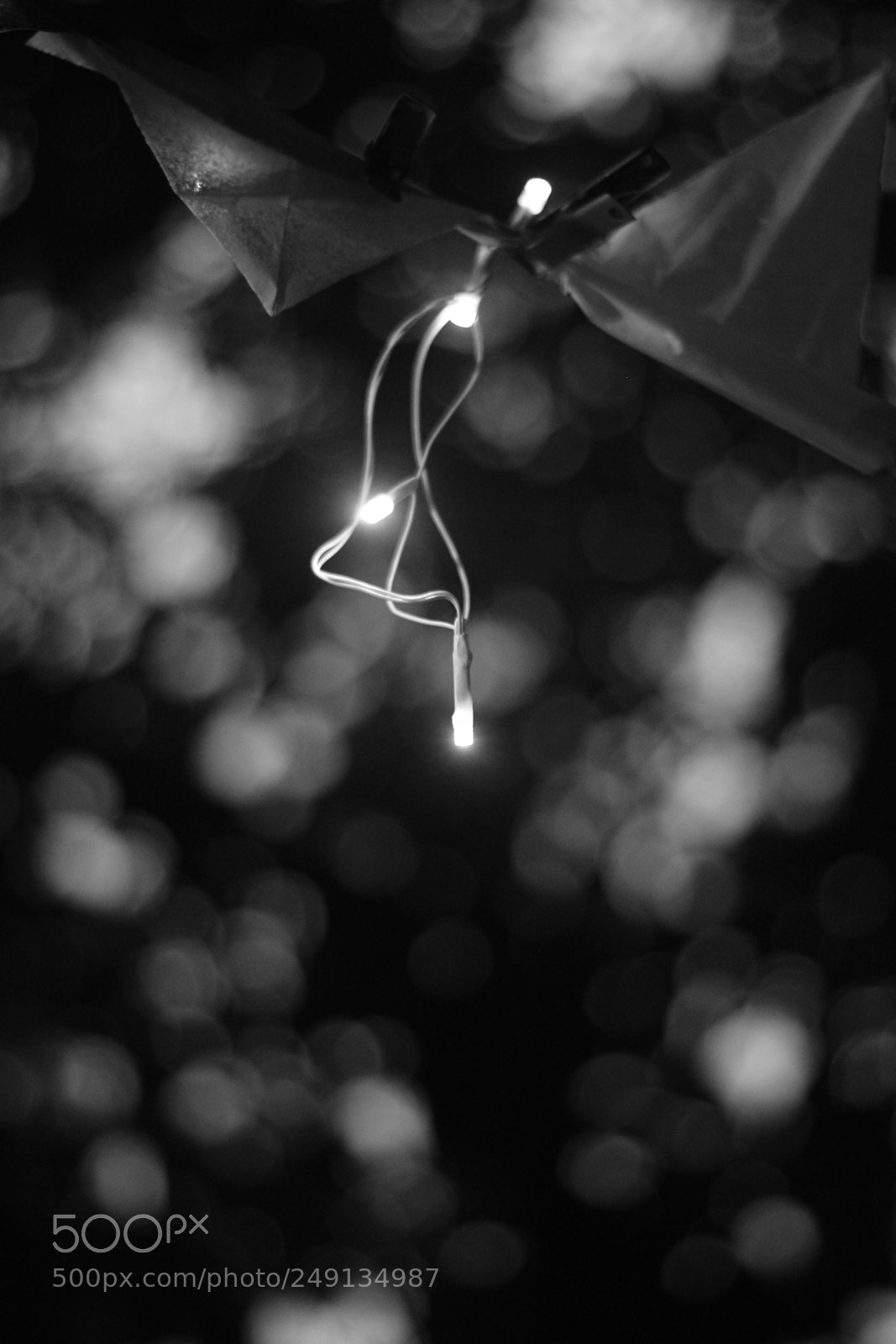 Canon EF 50mm F1.8 II sample photo. Untitled photography