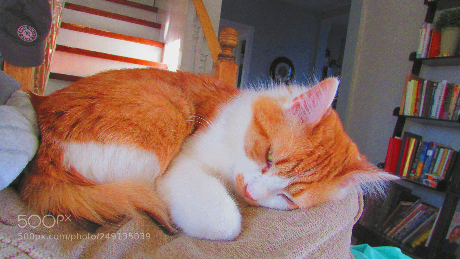 Canon PowerShot SX400 IS sample photo. Lazy photography
