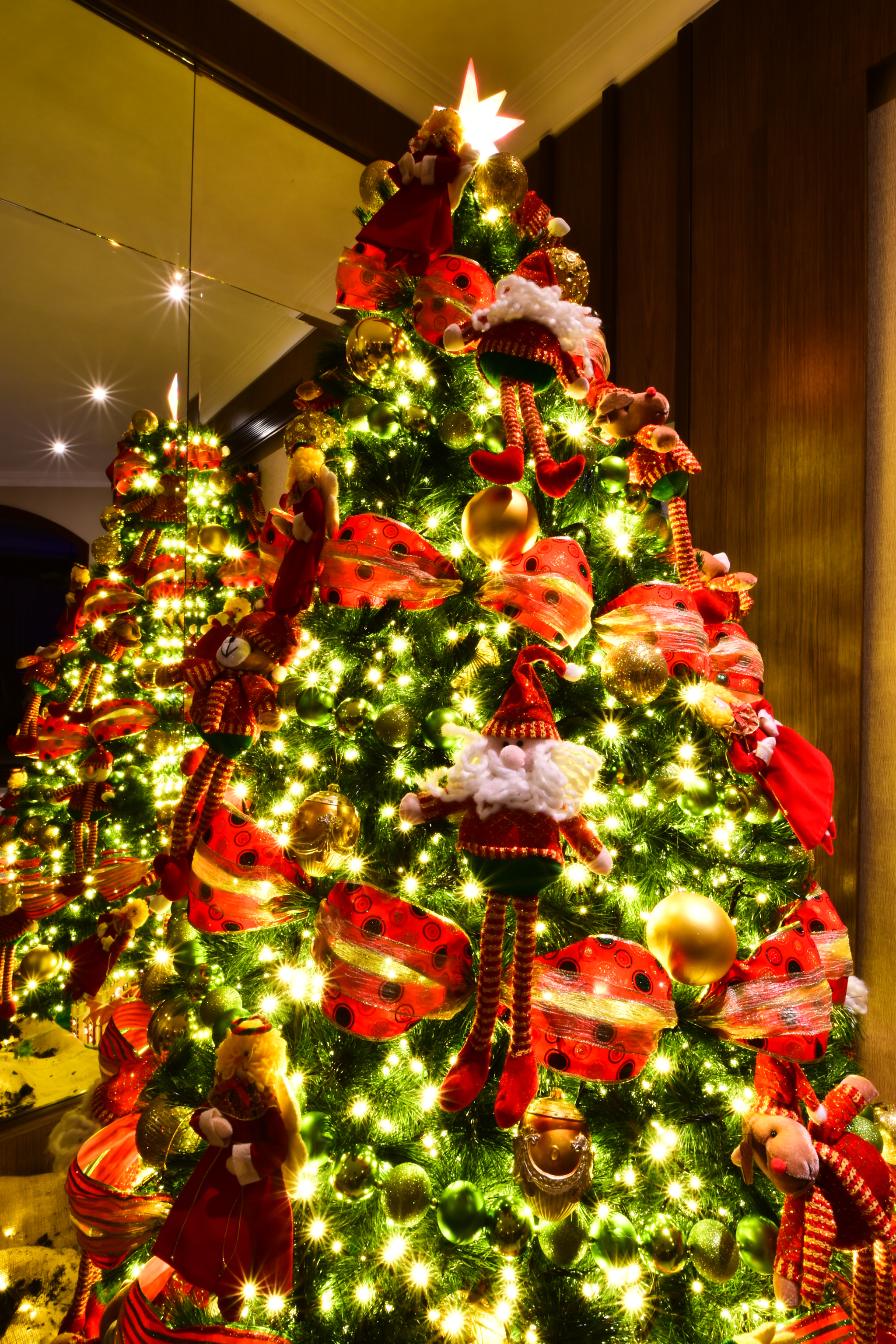 Nikon D5600 sample photo. Christmas lights! photography